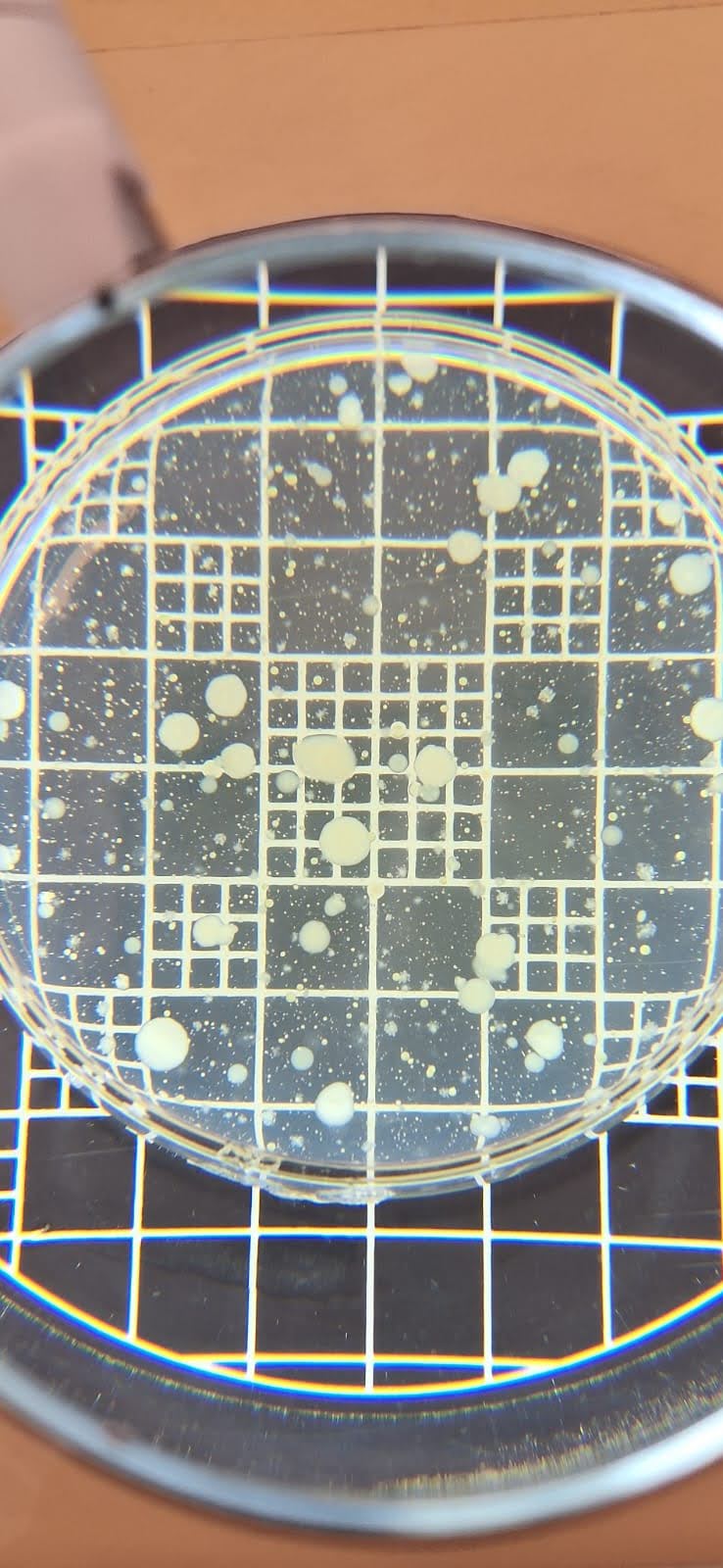 Ecotoxicologia e análises microbiológicas